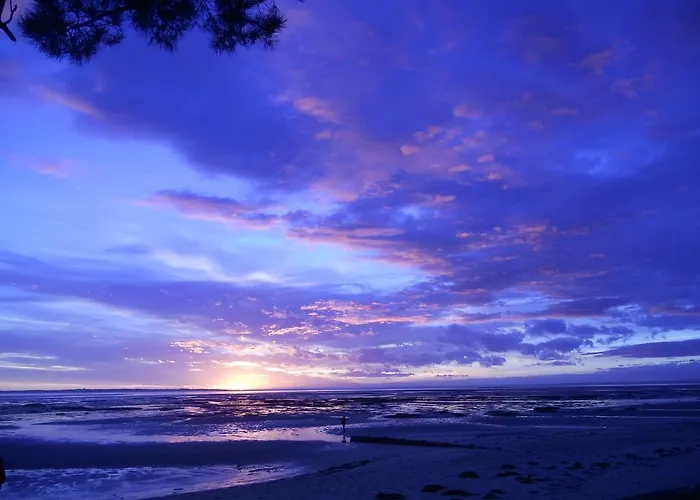 Lejlighed Locaplage *