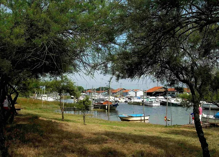 Locaplage Lejlighed *